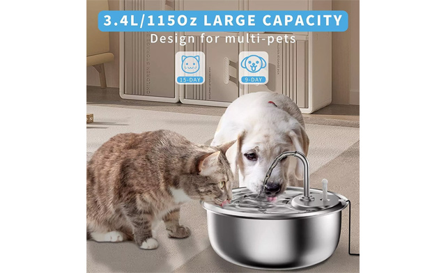 Image of $33 for a Pet Water Fountain (a $39.99 Value)