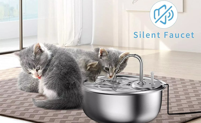 Image of $33 for a Pet Water Fountain (a $39.99 Value)