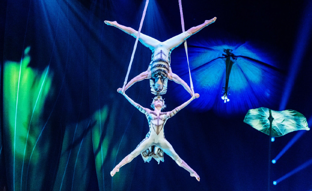 Image of Cirque Days! Up to 40% Off Tickets to Cirque du Soleil's OVO in Toronto