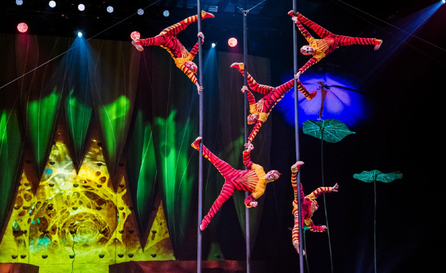 Image of Cirque Days! Up to 40% Off Tickets to Cirque du Soleil's OVO in Toronto