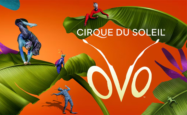 Image of Cirque Days! Up to 40% Off Tickets to Cirque du Soleil's OVO in Toronto