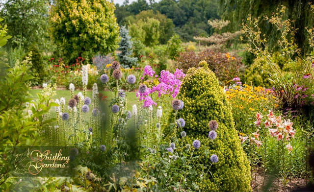 Image of $7 & Up for Admission to Whistling Gardens
