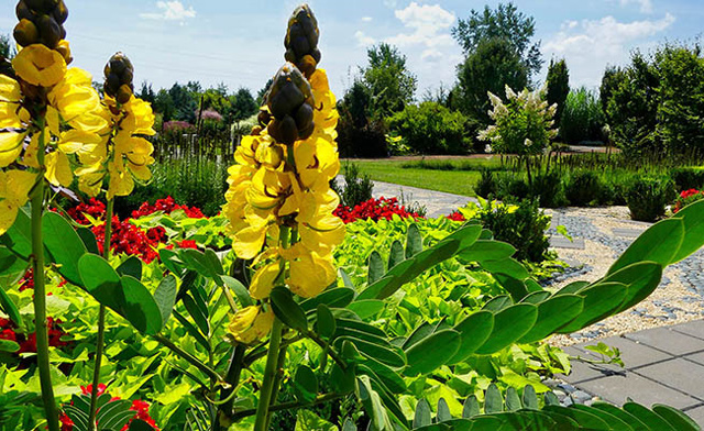 Image of $7 & Up for Admission to Whistling Gardens