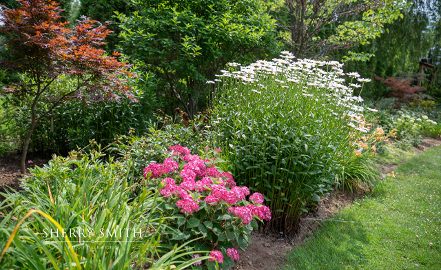 Image of $7 & Up for Admission to Whistling Gardens