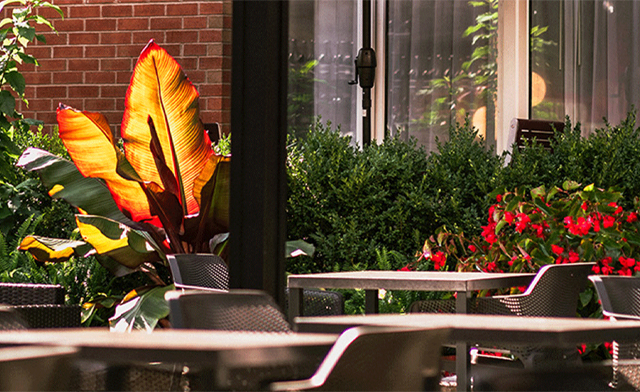 Image of Hotel Saint-Sulpice: Historic Escape in the Heart of Old Montreal’s Charming District