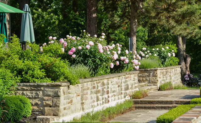 Image of $47 & Up for General Admission to the Rosé Picnic: July 12 at the Canadian Film Centre