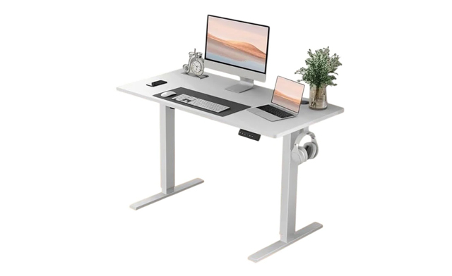 Image of $159 for an Alawooder 48-Inch Electric Standing Desk (a $229 Value)
