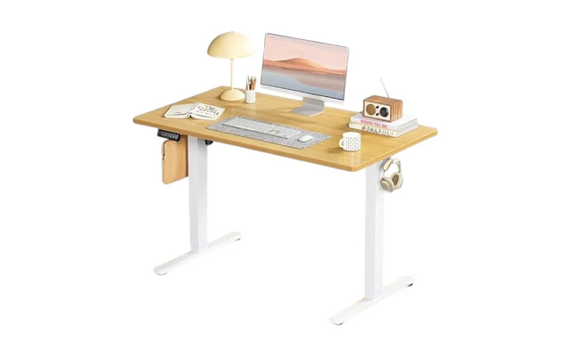 Image of $159 for an Alawooder 48-Inch Electric Standing Desk (a $229 Value)