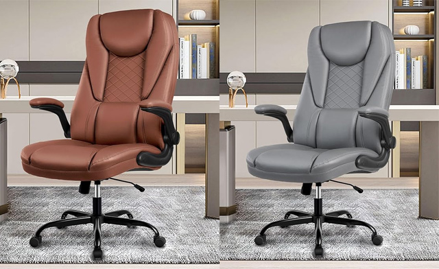 Image of $129 for a Guessky Premium High Back Office Chair (a $169 Value)