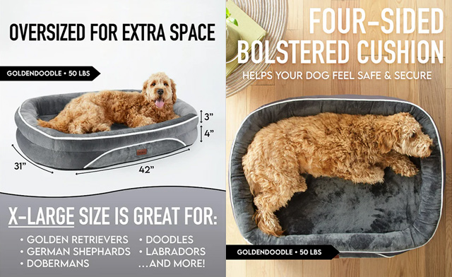 Image of $51 for a Large 42-inch Orthopedic Dog Bed (a $79.99 Value)