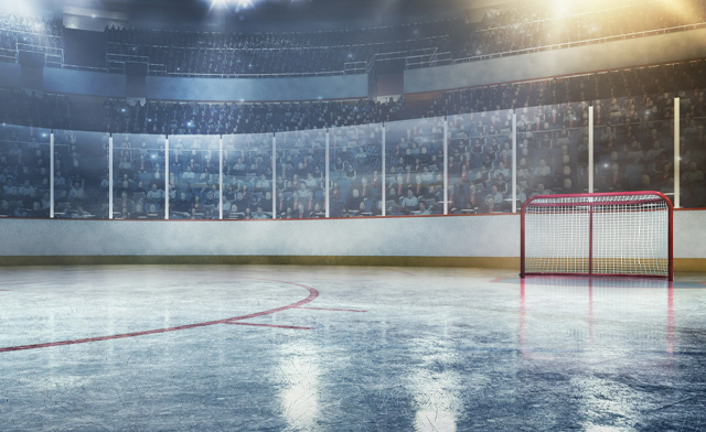 One Ticket to Leafs vs Senators