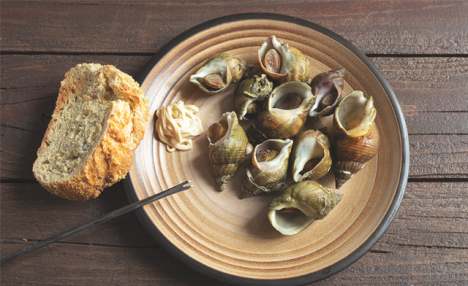 $39.99 for 4 lbs of Canadian Wild Caught Whelk In Shell (a $64 Value)
