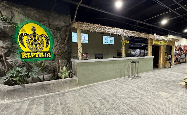 Image of $15 for General Admission at Reptilia London