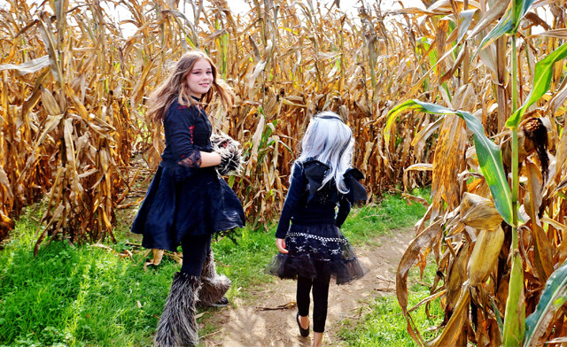 Image of FLASH SALE! Up to 39% Off Admission and Unlimited Rides at BooFest (2 Locations)