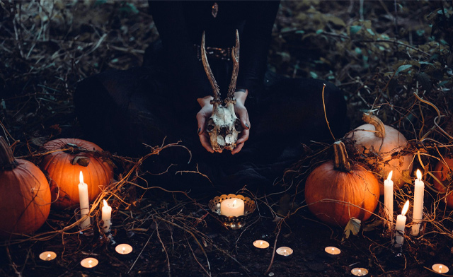 Image of $11 & Up for Tickets to The Toronto Halloween Show: September 27 or 28, 2025