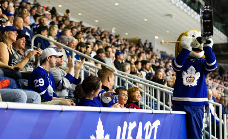 Up to 30% Off Toronto Marlies 2025-26 Season Tickets