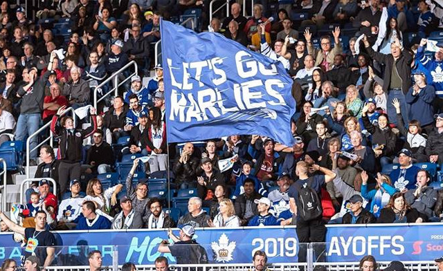 Image of Up to 30% Off Toronto Marlies 2025-26 Season Tickets