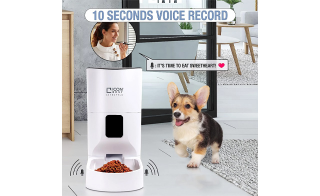 Image of $32 for an Automatic Pet Feeder (a $50 Value)
