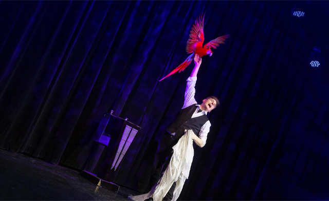 Image of FLASH SALE! $25 for 2 Admissions to Wild Magic at the Greg Frewin Theatrical Centre