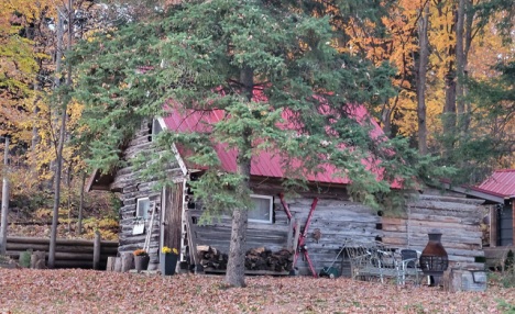 Century-Old Cabin: 2-Night Stay with Sparkling Wine & Lavender Treats