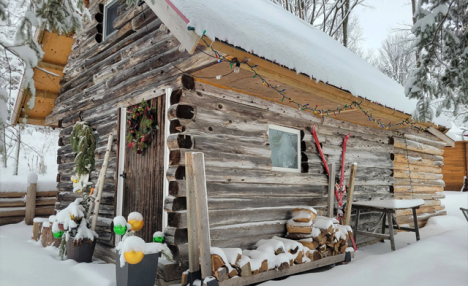 Century-Old Cabin: Private Half-Day Countryside Escape for 4