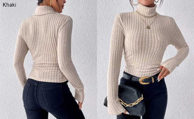 Image of $26.99 for a Women's Turtleneck Top (a $79.99 Value)