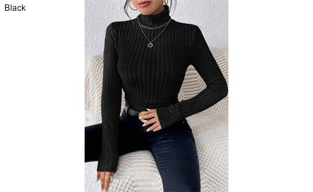 Image of $26.99 for a Women's Turtleneck Top (a $79.99 Value)
