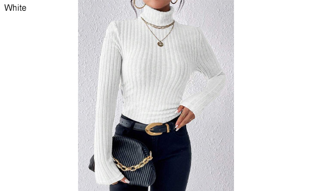 Image of $26.99 for a Women's Turtleneck Top (a $79.99 Value)
