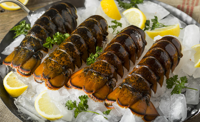 Image of $119.99 for 1.3 kg of 5oz Canadian Lobster Tails (a $190 Value) - Pick Up