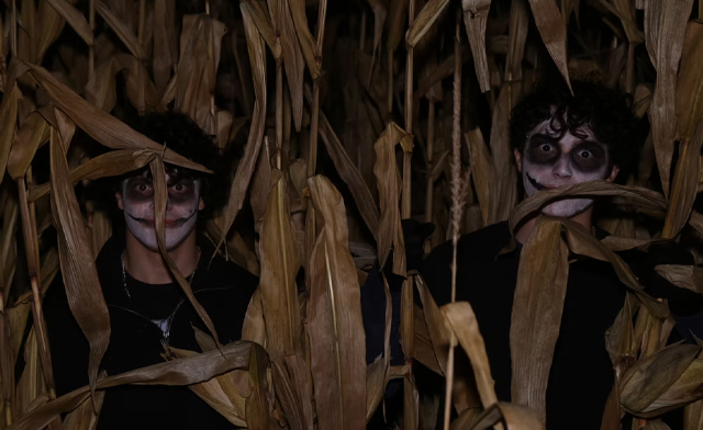 Image of $19 & Up for Admission to Feargrounds 2025