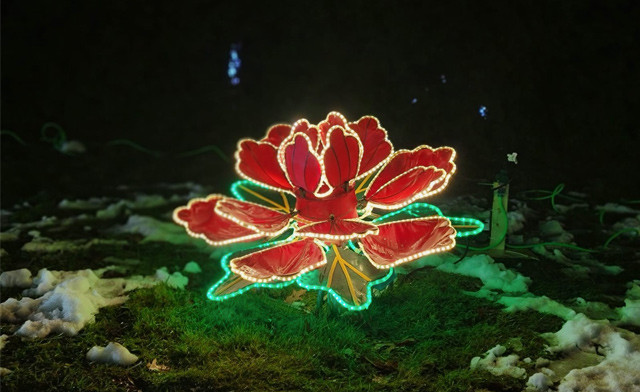 Image of FLASH SALE! $24 & Up for One Vehicle Admission to A Journey Into Enchantment in Ajax