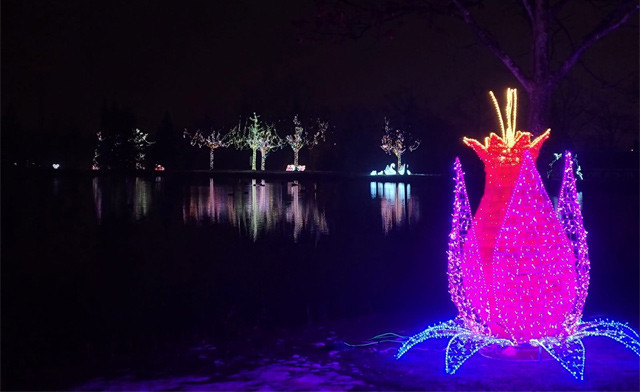 Image of FLASH SALE! $24 & Up for One Vehicle Admission to A Journey Into Enchantment in Ajax