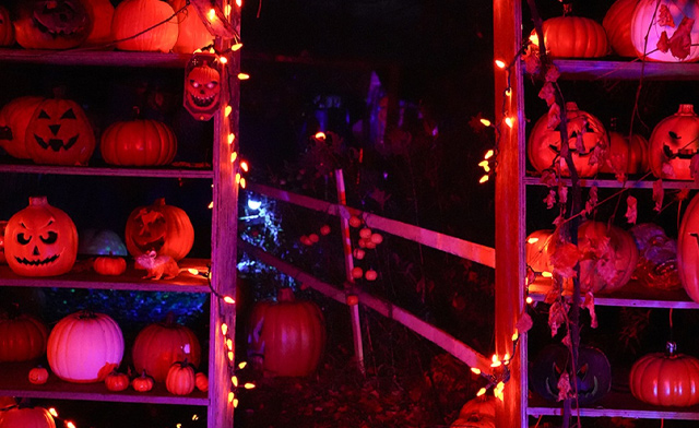 Image of $29 & Up for Admission to the Haunted Hollows Scream Park