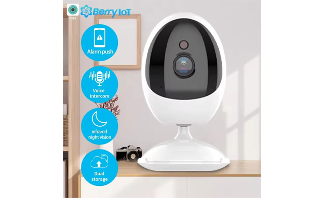Image of $44 for a 1080P Wi-Fi Indoor Security Camera with Motion Detection (a $74.99 Value)