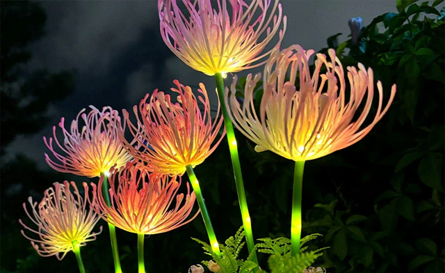 Image of $24.99 for Outdoor LED Solar Powered Flower Lights (a $44.99 Value)