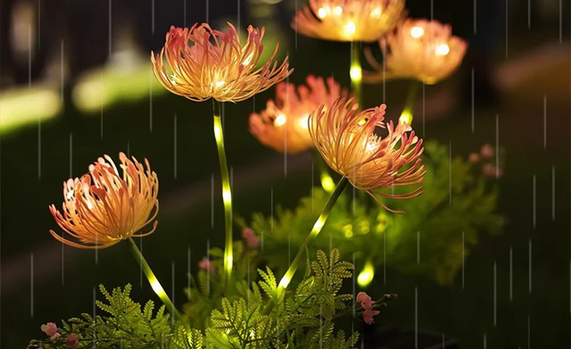 Image of $24.99 for Outdoor LED Solar Powered Flower Lights (a $44.99 Value)
