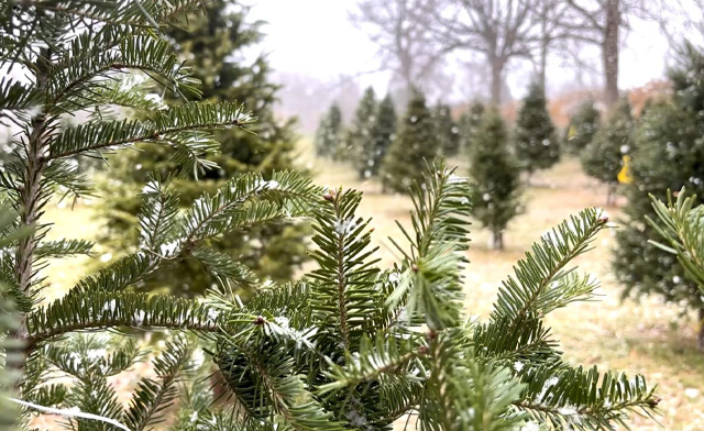 Image of $99 for a Fireside Weekend Package for 4 at Puddicombe Farms