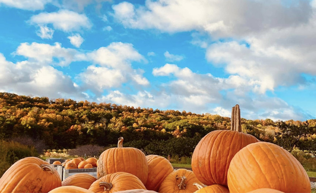 Image of $99 for a Fireside Weekend Package for 4 at Puddicombe Farms