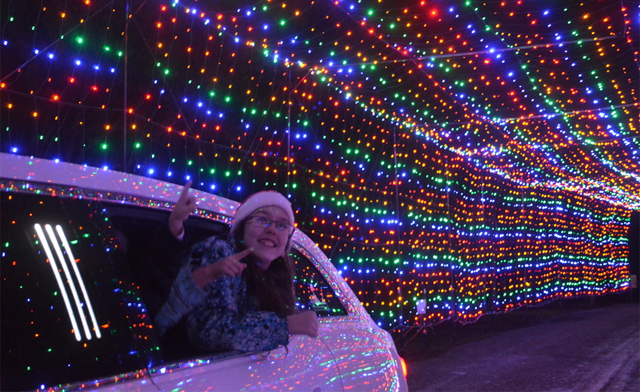 Image of FLASH SALE! $14.95 for Admission for One Vehicle to Gift of Lights