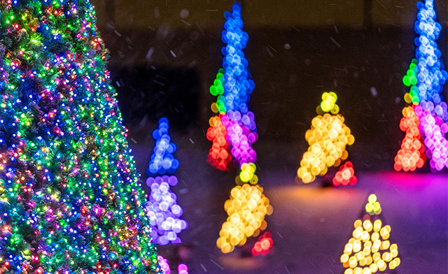 Image of FLASH SALE! $14.95 for Admission for One Vehicle to Gift of Lights