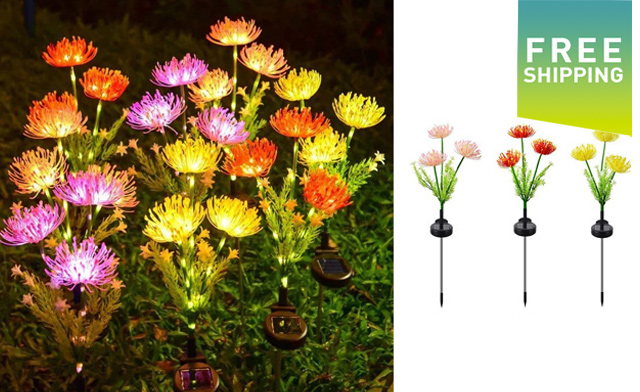 Image of $26.99 for Outdoor LED Solar Powered Flower Lights (a $44.99 Value)