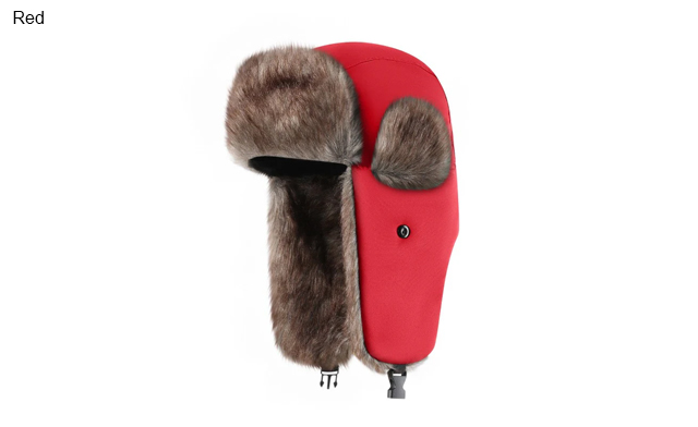 Image of $20.99 for a Warm Waterproof Winter Earmuff Hat (a $34.99 Value)