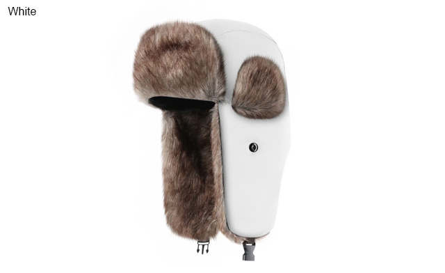 Image of $20.99 for a Warm Waterproof Winter Earmuff Hat (a $34.99 Value)