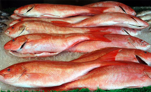 Image of $74.99 for 1.8 kg of Wild Caught Skin On Red Snapper Fillets (a $100 Value) - Pick Up
