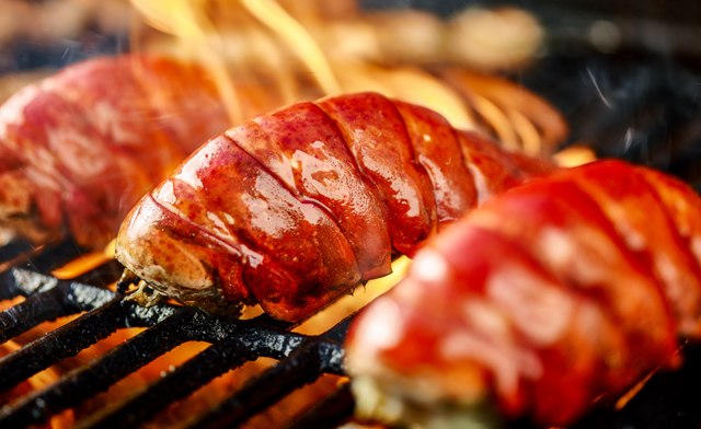 Image of $189.99 for 1.8 kg of Jumbo Canadian Lobster Tails (a $290 Value) - Pick Up