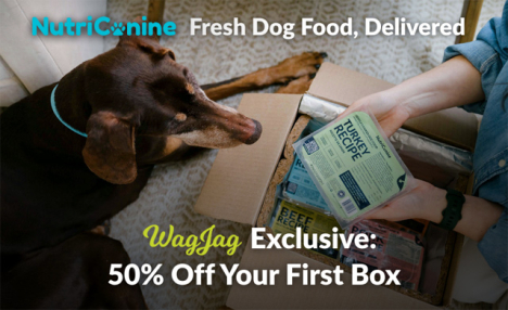 50% Off Your First NutriCanine Box with Code WAG50