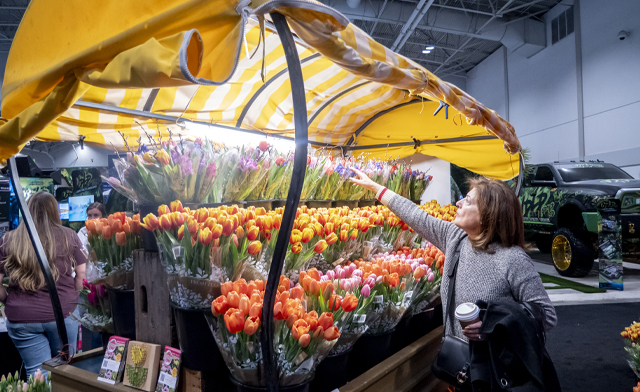 Image of FLASH SALE! $20 for One-Day Admission for Two to the National Home Show: March 6-15, 2026