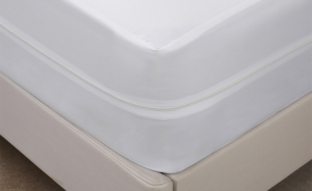 Image of $22.49 & Up for a 100% Waterproof Mattress Encasement