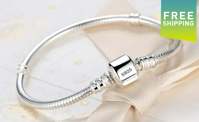 Image of $18.49 for a 925 Sterling Silver Snake Bone Bracelet (a $26.60 Value)