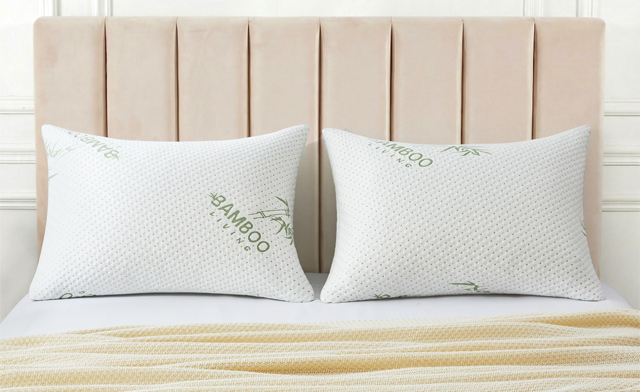 Image of $19.95 for a Bamboo Pillow (a $44.99 Value)